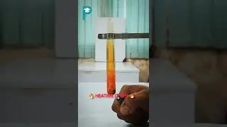 Chromyl Chloride🧪 a poisonous&nbsp;Gas😨⚛️Ft. Dr.RGD Sir #prepmed_neet #chemistry #reaction #shorts