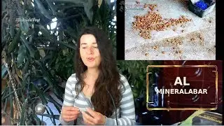 AL Mineralbar - was muss man dar&uuml;ber wissen?