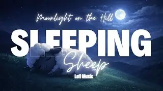 Sleeping Sheep | Moonlight on the Hill