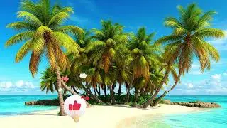 The beauty of summer nature. 4K relaxing video