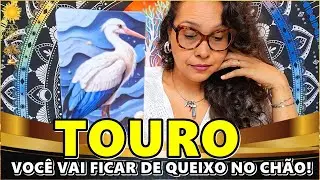 TOURO ♉️ ALGUÉM VAI REVELAR ALGO IMPORTANTE ●AMOR COM LIMITES● CUIDAFO COM ESSA COBRA