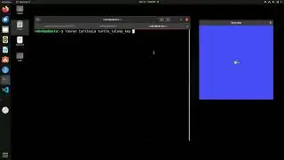 ROS Simulation in python