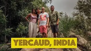 TOP THINGS TO DO IN YERCAUD, INDIA!