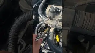 C&oacute;mo cambiar el vvt a un Toyota  Yaris