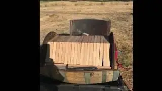 Top Bar Wine Barrel Hive Check