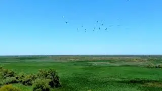 Rumunia delta dunaju