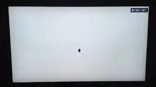 Pittsburgh Steelers Missed Game Winning Field Goal!