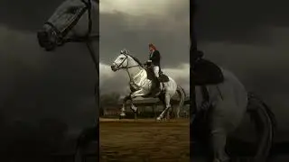 Dressage in Red Dead Redemption 2 🫶