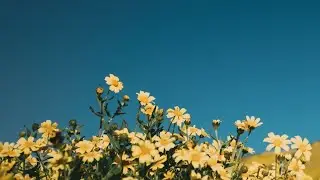 Are you finding beauty in the ordinary?