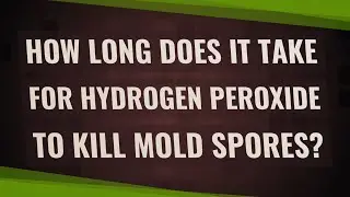 How long does it take for hydrogen peroxide to kill mold spores?