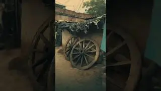 Stunning Village Edit 🌾 | Capturing Rural Beauty ✨ | CapCut Tutorial 🎬🌻 #VillageEdit #RuralBeauty