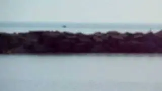 new buffalo mi