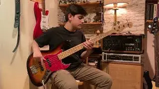 Ham meyvayı kopardılar dalından - Bas Gitar