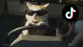 [TikTok] Built for racetracks, master of the road💫FULL SONG