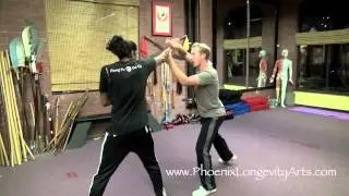 Kung Fu One Step Fighting 3