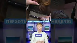 ЛУЧШЕЕ СРЕДСТВО ОТ ПЕРХОТИ. Лечение Себорейного дерматита на голове натуральными методами. #перхоть