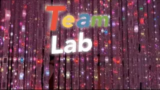 TeamLab Borderless Tokyo|| Digital Art Museum
