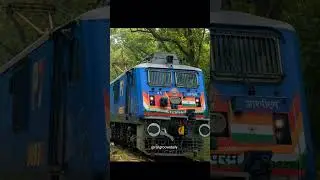 Different Livery of WAP -7 #train #reels #viral