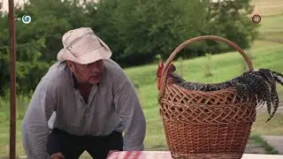Koh&uacute;t na chalupe (PR&Aacute;ZDNINY)