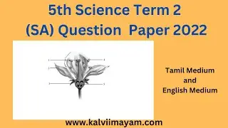 5th Science Term 2 SA Question Paper 2022