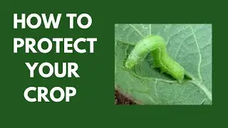 How To Protect Your Crop \\ Agrochemical Use \\ IPM \\ Label