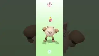 The majestic primeape #pokemongo #pokemon #davidattenborough #naturedocumentary