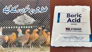 How to Keep Poultry Birds Comfortable in Winter | Dr. ARSHAD