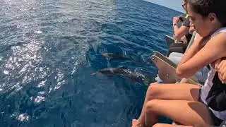 Napili Coast, Makana Boat Tours