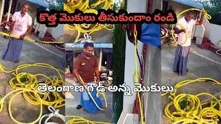 కొత్త మొకులు తీసుకుందాం రండి||తెలంగాణ గౌడ్ అన్న మొకులు #goud #kallu #naturevibes #nature #trend