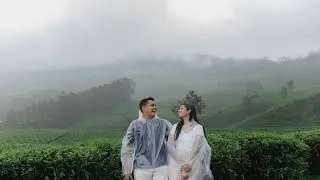 Prewedding Shoot - Munnar - Samveg X Malvi!