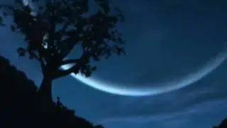 All My Only Dreams - The Wonders lyrics