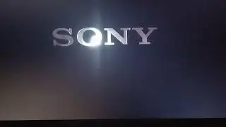 Swinging Cricket Productions/Happy Madison/Doug Robinson Productions/Sony Pictures Television (2021)