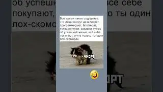 Жиза😂 #юмор #свежиеанекдоты #смешныешутки