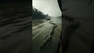 60-Foot Titanoboa Snake Spotted In The Mekong River