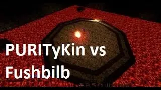 Quakeworld duel - Amphi2 PURITyKin vs Fushbilb