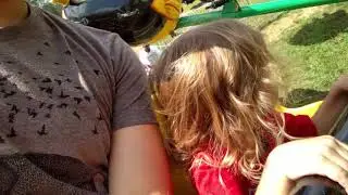 Bumblebee ride