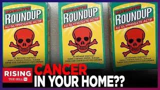 Chemical Giant Bayer SEEKS IMMUNITY From Suits Over Cancer-Causing RoundUp