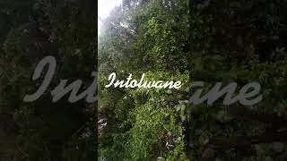 Uma unesidina, izinduna nesichitho uzosizakala. remove Isichitho