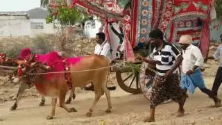Cherlopalli ankalamma jathara