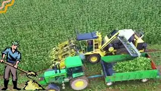 Our Community Counts on Farmers | Alaina Dutton