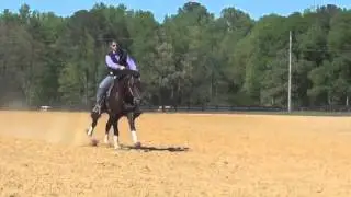 OUT WEST WHIZ - SLIDING STOP