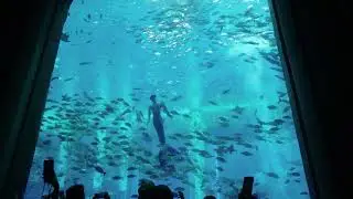 Explore Hainan Culture (30Secs)