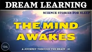 Dream Learning | From Neuron to Brain | The Mind Awakes &mdash; A Journey from Neuron to Dream | Part. #1