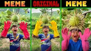 Oi oi oi Kid Meme vs Original Kid vs Funk Kid