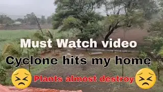 Cyclone hits Satara??| 52 Plants almost got destroy at my home😣😣