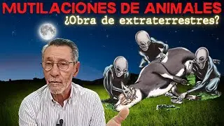 Mutilaciones de animales &iquest;Obra de extraterrestres?