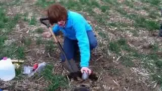 Bulk Density Soil Health Test