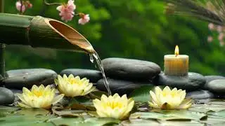 Deep Sleep music and nature sounds.Relaxing piano music, water sounds 