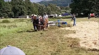 Сгребание сена лошадьми