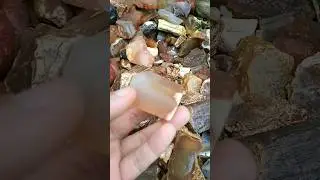 Bahan batu akik raflesia bengkulu #batuakik #amazing